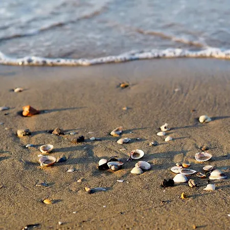 Apartment In 45631 Bibione