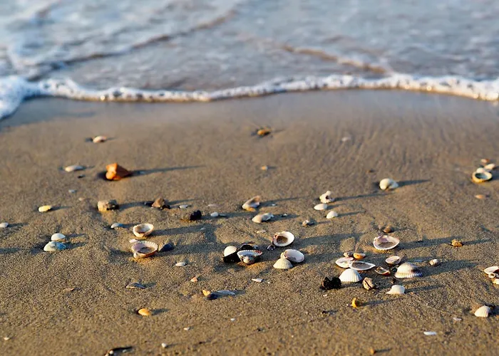 Appartamento In 45631 Bibione